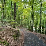 Eifelblick Sauna&wellness *