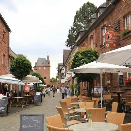 Eifelblick Loft-apartments *