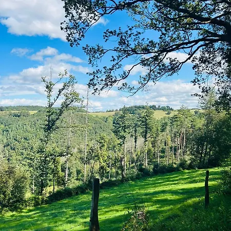 Eifelblick Loft-apartment Villa