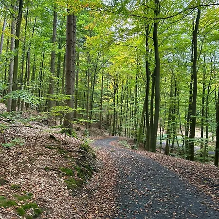 Eifelblick Loft-apartment *