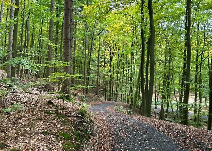 Eifelblick Sauna&wellness *